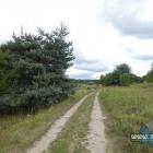 zdjęcie nr 43