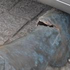 Złamana noga drwala