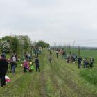 zdjęcie nr 30