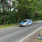 zdjęcie nr 147