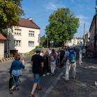 zdjęcie nr 16