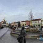 Ambrowiec amerykański na rynku w Jaworznie