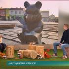 Figurki chomików z Jaworzna w Dzień Dobry TVN
Fot. Dzień  Dobry TVN 