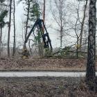 zdjęcie nr 7