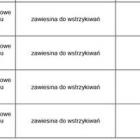 zdjęcie nr 27