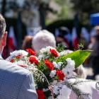 zdjęcie nr 165
