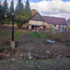 zdjęcie nr 12