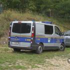 zdjęcie nr 9
