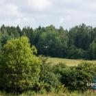 zdjęcie nr 32