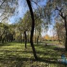 Park Lotników