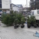 Przygotowania do Jarmarku Bożonarodzeniowego