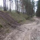zdjęcie nr 9