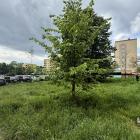 zdjęcie nr 8