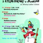 zdjęcie nr 15