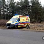 zdjęcie nr 7