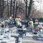 Kobieta wpadła do grobu na cmentarzu w Jaworznie