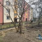 zdjęcie nr 11