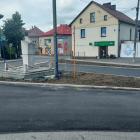 1-JELEŃ SKRZYŻOWANIE (1)