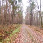 Droga przez Amerykę