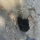 Dziura z ulicy Krasickiego z ubiegłego tygodnia. Foto: od czytelnika