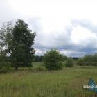 zdjęcie nr 44