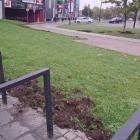 1-IMG_8093