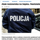 zdjęcie nr 9