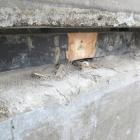 skradzione lampy geosfera (3)