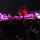 zdjęcie nr 13