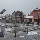 Wycięty jawor na rynku