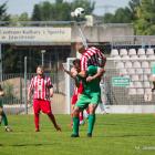 zdjęcie nr 11