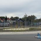 zdjęcie nr 42