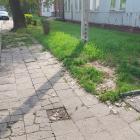 zdjęcie nr 7