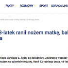 zdjęcie nr 12