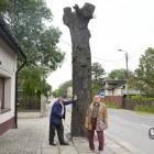 Mieszkańcy sprzeciwiają się wycince drzew