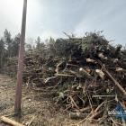 Przebudowa ulicy Wojska Polskiego w Jaworznie