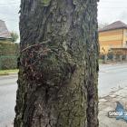 zdjęcie nr 13