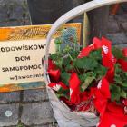zdjęcie nr 61