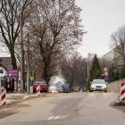 zdjęcie nr 8