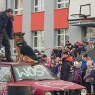 zdjęcie nr 7