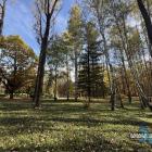 Park Lotników