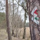 Oznakowanie szlaków pieszych i rowerowych na terenie Jaworzna wymaga odświeżenia. Część...