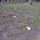  Rozrzucony chleb. Fot. Patrycja Koprzak 
