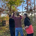 Budowa dziecięcego ogrodu marzeń. Fot: Agnieska Biel-Proksa