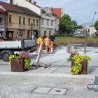 Rozpoczęły się prace pod montaż pomnika Chrobrego