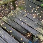Zniszczony Park Gródek w Jaworznie. Zdjęcia nadesłane przez mieszkankę Jaworzna