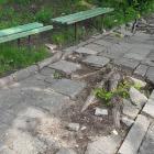 20190527_110436_Easy-Resize.com