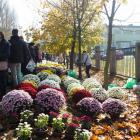 wszystkich świętych - wilkoszyn 01.11.2019 15-21-058