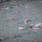 Enea Ironman 70.3 Kraków. Fot. IRONMAN Poland