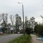 zdjęcie nr 9